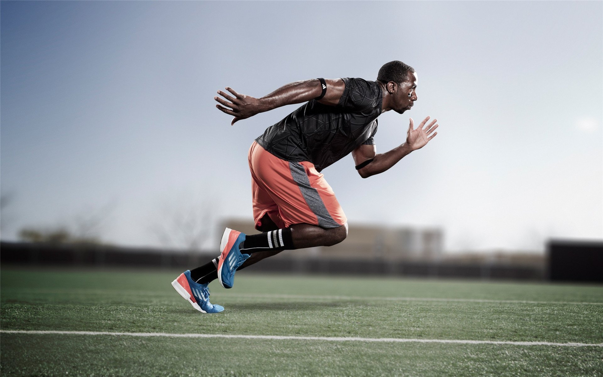 爵士队新援融入良好,期待突破,爵士队新闻